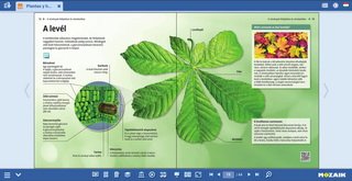 Herramientas útiles que ayudan a la investigación del dibujo científico MOZAIK