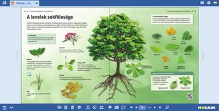 Herramientas para investigación del dibujo naturalista o científico